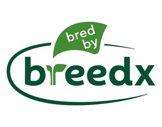 תמונה של Breedx – Innovation in Pepper & Tomato Breeding