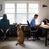 Image of Publish Central
