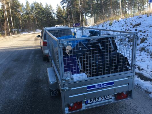 skräphantering - Sfora service
