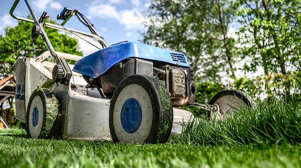 Image of Expert Lawn