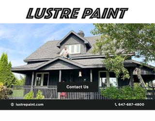 Image of Lustre Paint