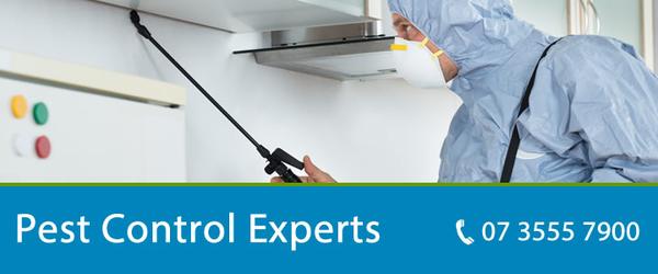 Image of Pro Pest Control Brisbane Qld
