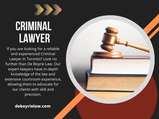 Criminal Lawyer