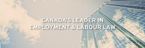 Image de Levitt LLP