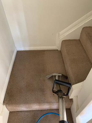 Image of Austech Carpet Cleaning Brisbane