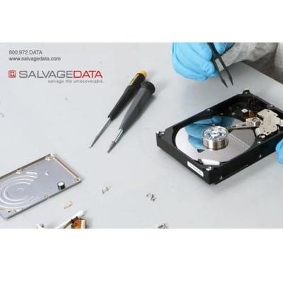 Image of SALVAGEDATA Recovery Services