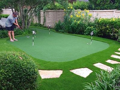 Image of Southern Turf Co. Phoenix ® Artificial Grass
