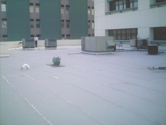 Imagen de Master Roofing Inc.