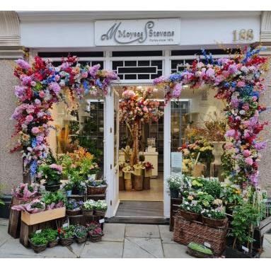 Image of Moyses Stevens Flowers