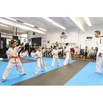 Image of Counterforce Taekwondo Burien