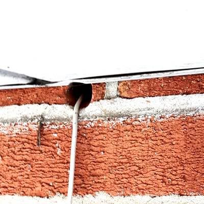 pest control inscpection