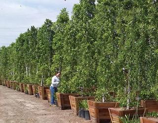 Image of Garden View Nursery