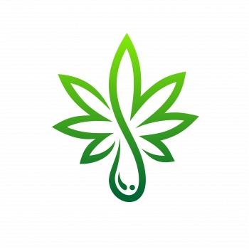 Image of Kush Factory