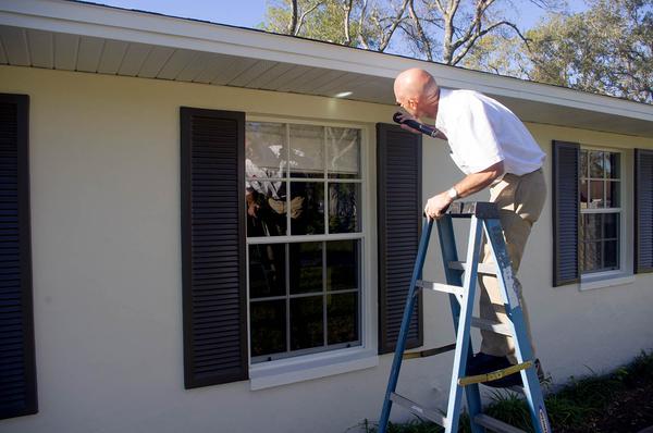 Powerful Pest Control Services For Your Home or Business