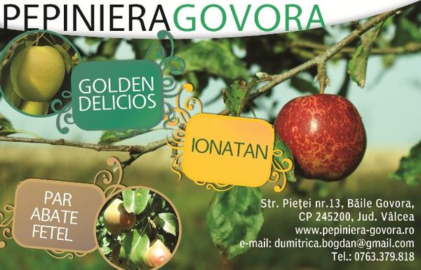 Imagine a Pepiniera Govora