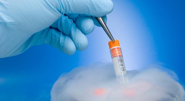 Image of Embryo Banking Australia