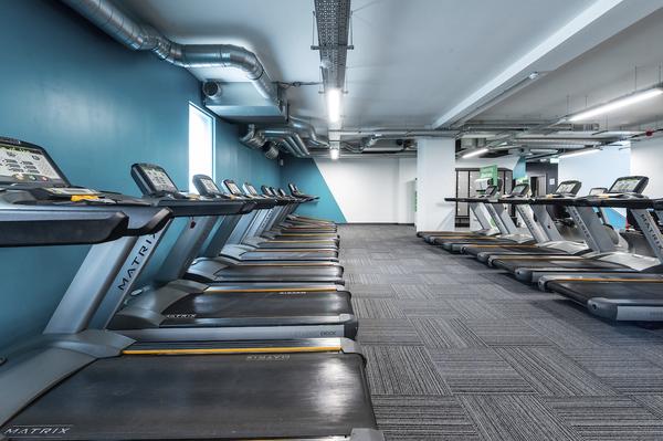 Image of PureGym London Holloway Road