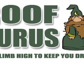 Image of Roof Gurus