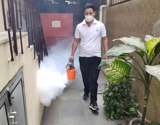 pest control service in indirapuram