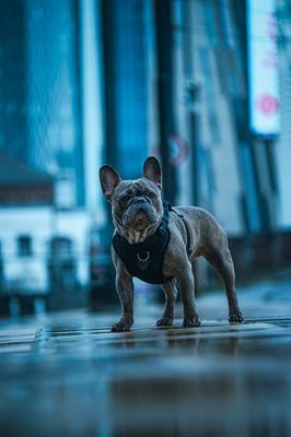 Image of Schofield Photography
