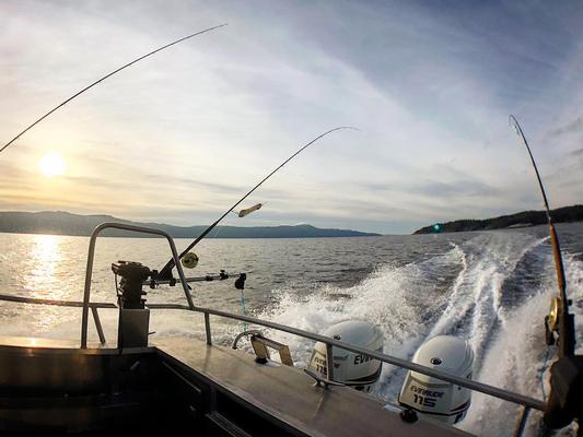 Sunshine Coast Boat Tours