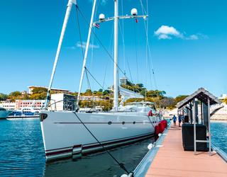 Imagen de Marina Flamingo