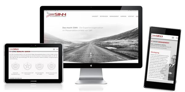 Website Project: SINN Consulting