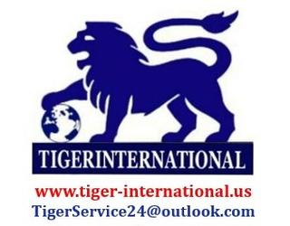 Слика на Tiger International Business Consulting SHPK