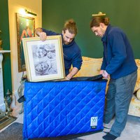 Painless Removals photo