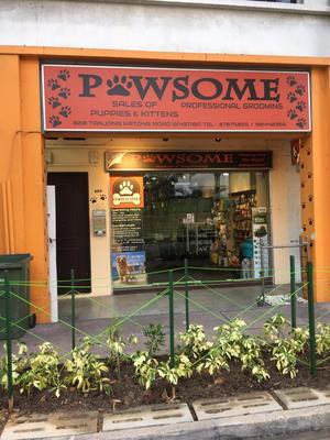 Pawsome.SG的图像