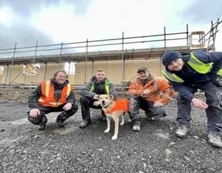 Image of McVeigh Offsite Ltd