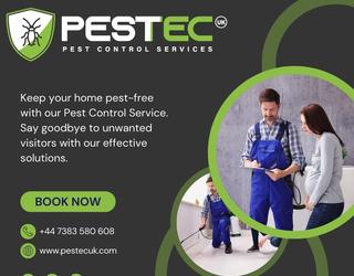 Residential Pest Control