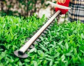 Image of Pimentel Landscaping LLC