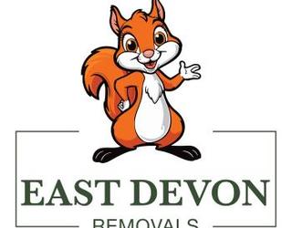 Image of East Devon Removals