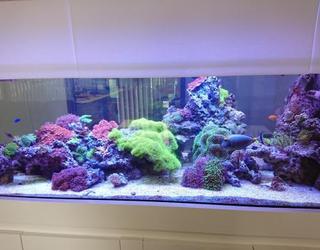 Image de Reef Design Johansen
