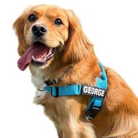 Image of Pet ID Tags Australia