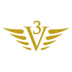 Logo VECTOR3