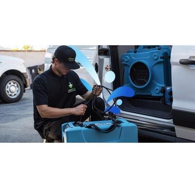 Image of LimeGreen Water Damage & Restoration