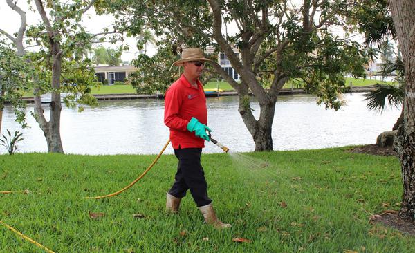 Expert Pest Control You Can Rely On