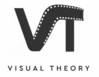 Image of Visual Theory