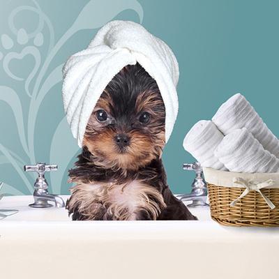 Image of For Dirty Paws