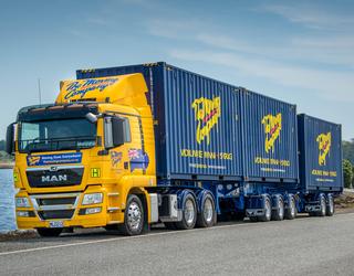 Image of The Moving Company