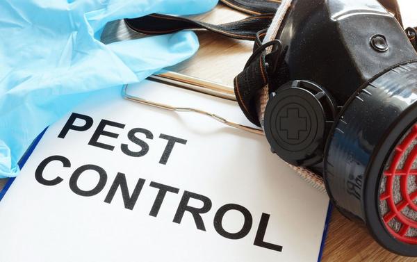 Image of Plano Pest Control Experts