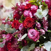 Image of Moyses Stevens Flowers