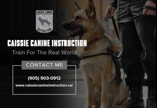 Image of Caissie Canine Instruction