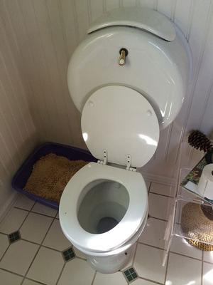 Image of Phoenix Plumber - Emergency Plumbing Contractor