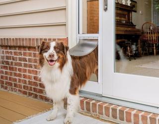 Image of Aussie Pet Doors