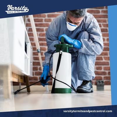 Image of Varsity Termite and Pest Control Gilbert
