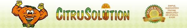 Image of Citrus Solutions Carpet Cleaning