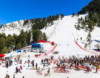 Image of Careline Adventure